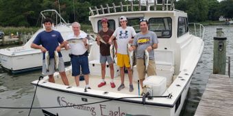 Screaming Eagle Charters Trojan Cruiser, Boat