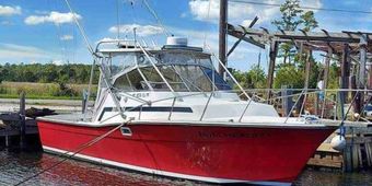In Debt Charters Topaz (Convertible) Boat