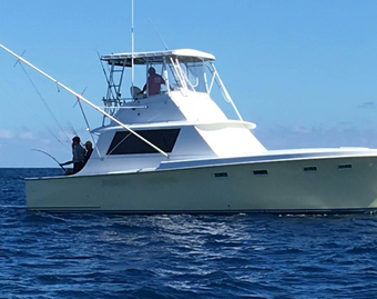Showtime Sportfishing Charters Hatteras Boat