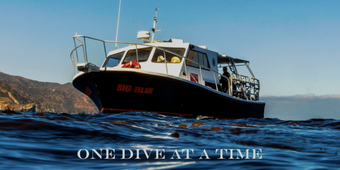 Red Alert Diving Newton Boat