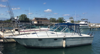 Merganzer Fishing Charters Tiara (Cruiser) boat