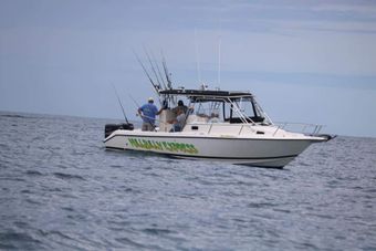 Hillbilly Express sportfishing  Century Boat