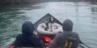 Robless Sportfishing Willey Boat