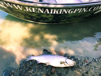 Kenai KingPin Outfitters River Wolf Boat