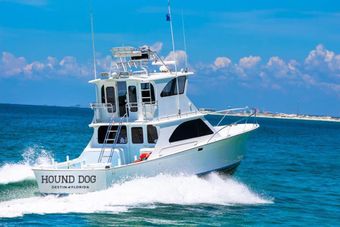 Hound Dog Fishing Charters Infinity Boat