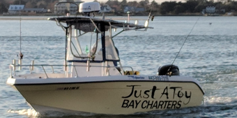 Just A Toy Charter  Centtury Boat