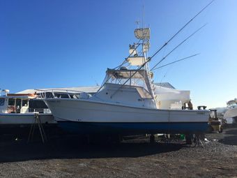 Teacher's Pet Sport Fishing Topaz Boat