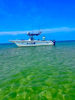 Marley Ray Adventures Catamarans Boat