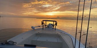 Right Side Charters Skeeter sx 240 Boat