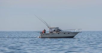 Kings Ransom Sportfishing Tiara Boat