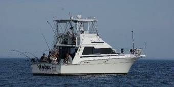 Sea Angel Charters Luhrs Boat