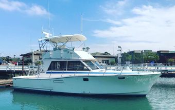Western Star Sportfishing Ventura (Flybridge) boat