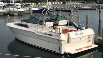 Windrift Sport Fishing Sea Ray (Cruiser) Boat
