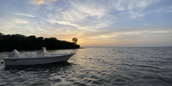Fish Fixation Charters Bulls Bay Boat