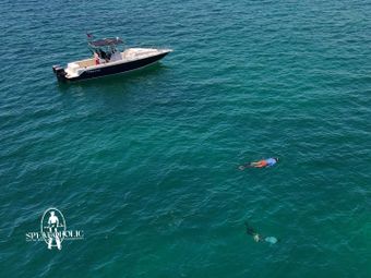 Spearoholic Excursions Pro line Boat