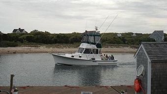 Grey Dolphin Sportfishing Charters Eastern Boats Inc Boat