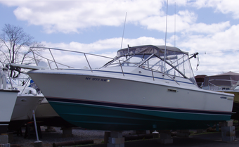 Raglan Hunt & Fish Club Phoenix Tournament fiberglass Boat