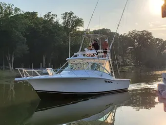 Is That Right Sport Fishing Luhrs Boat