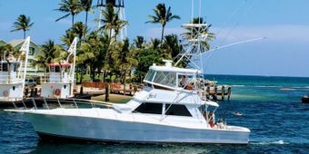 Happy Snapper Sportfishing Viking Sportfish Boat
