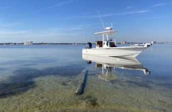 Watts Charter Fishing & Guide Service Sea Hunt Boat