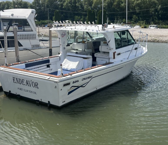 Liberty Charters LLC Baha Boat