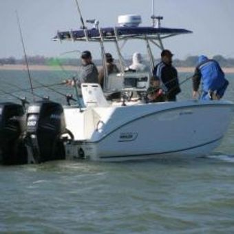 Rays Striper Fishing Guide Service Boston Whaler Boat