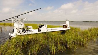 Wyld On The Fly Beavertail Mosquito boat