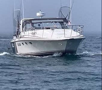 QuickDraw Sport Fishing Trojan Boat