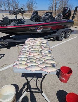 TJ Fishing Co & Guide Service LLC Nitro boat