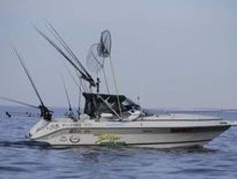 Taymo Charters Cruiser Inc. Boat
