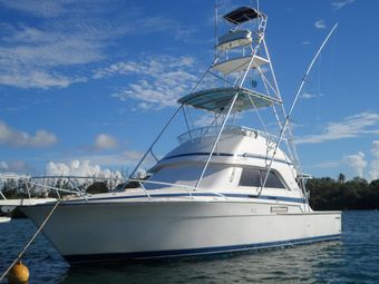 Grand Slam Fishing Charters Tobago Bertram Boat