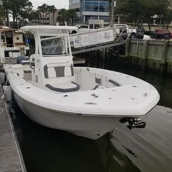 Twisted Palms Salty Adventures Tidewater Boat