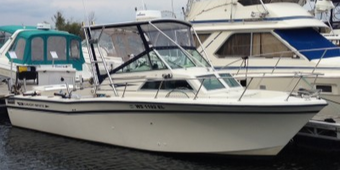 Reel Action Charters Grady-White Boat