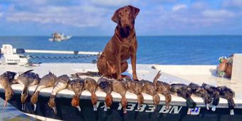Apex Fishing Guide Service Shoalwater (Bay boat) Boat