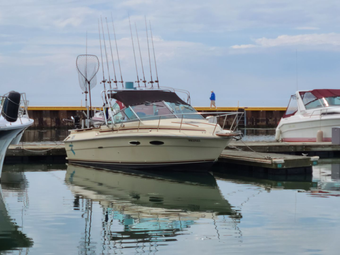 Fish NV Sea Ray Amberjack Boat
