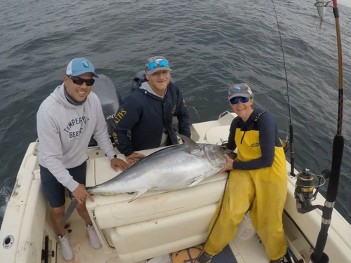 Cape Cod Fishing Expeditions-Home