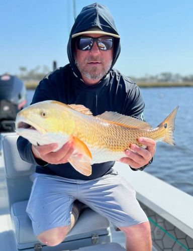 The 10 BEST Fishing Charters in St Johns River from US $425
