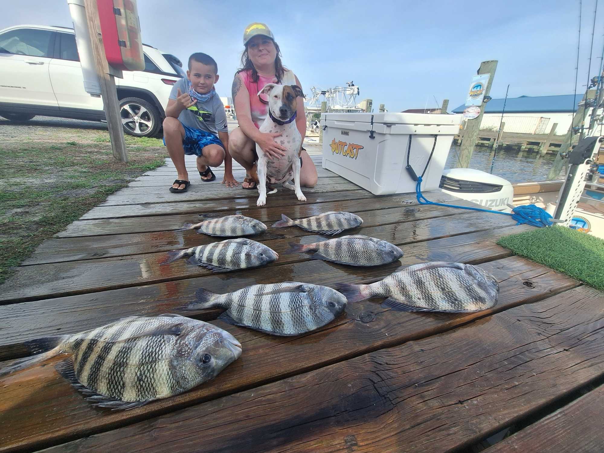 Sheepshead success in Wanchese NC waters!