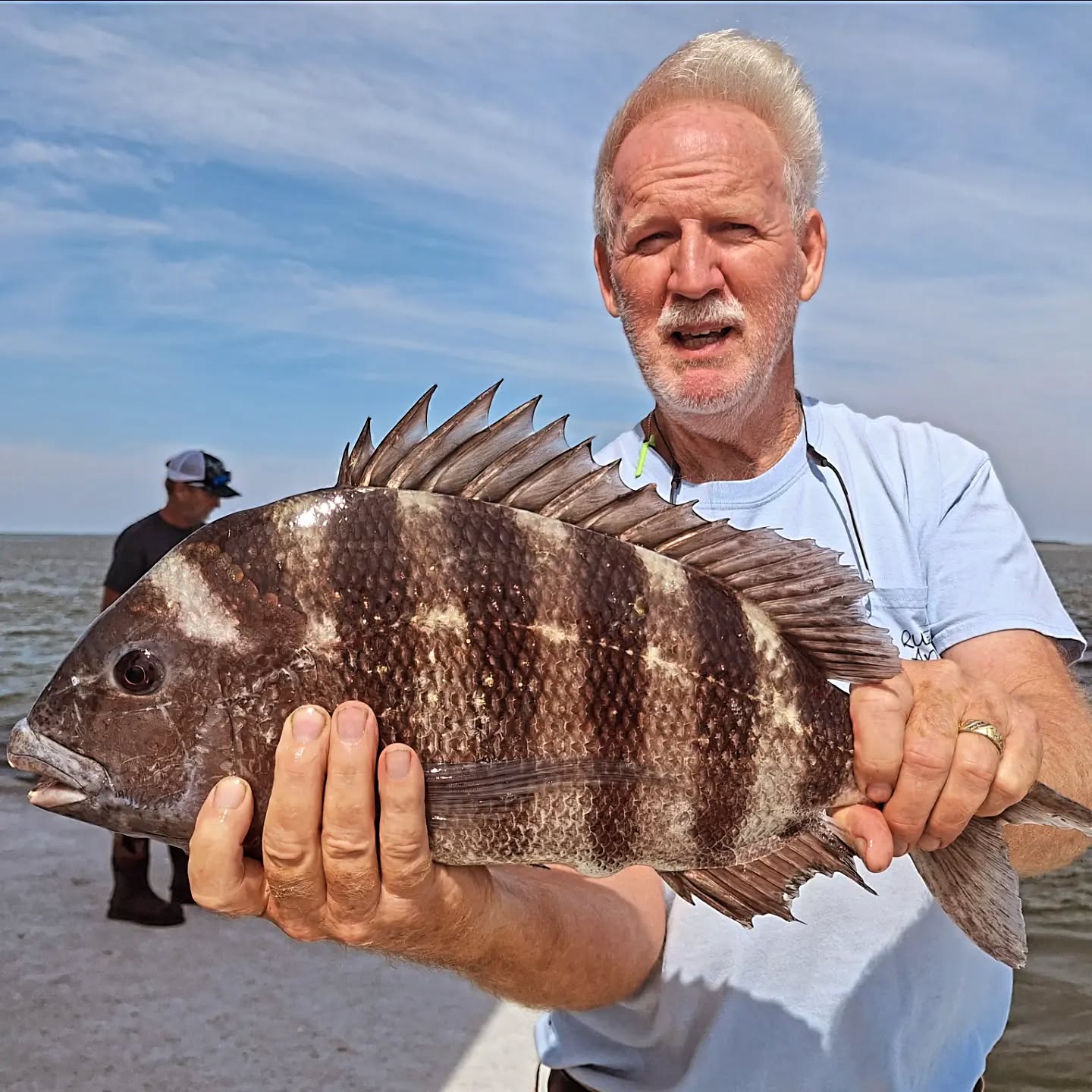 Beautiful Wanchese NC sheepshead from today's charter!