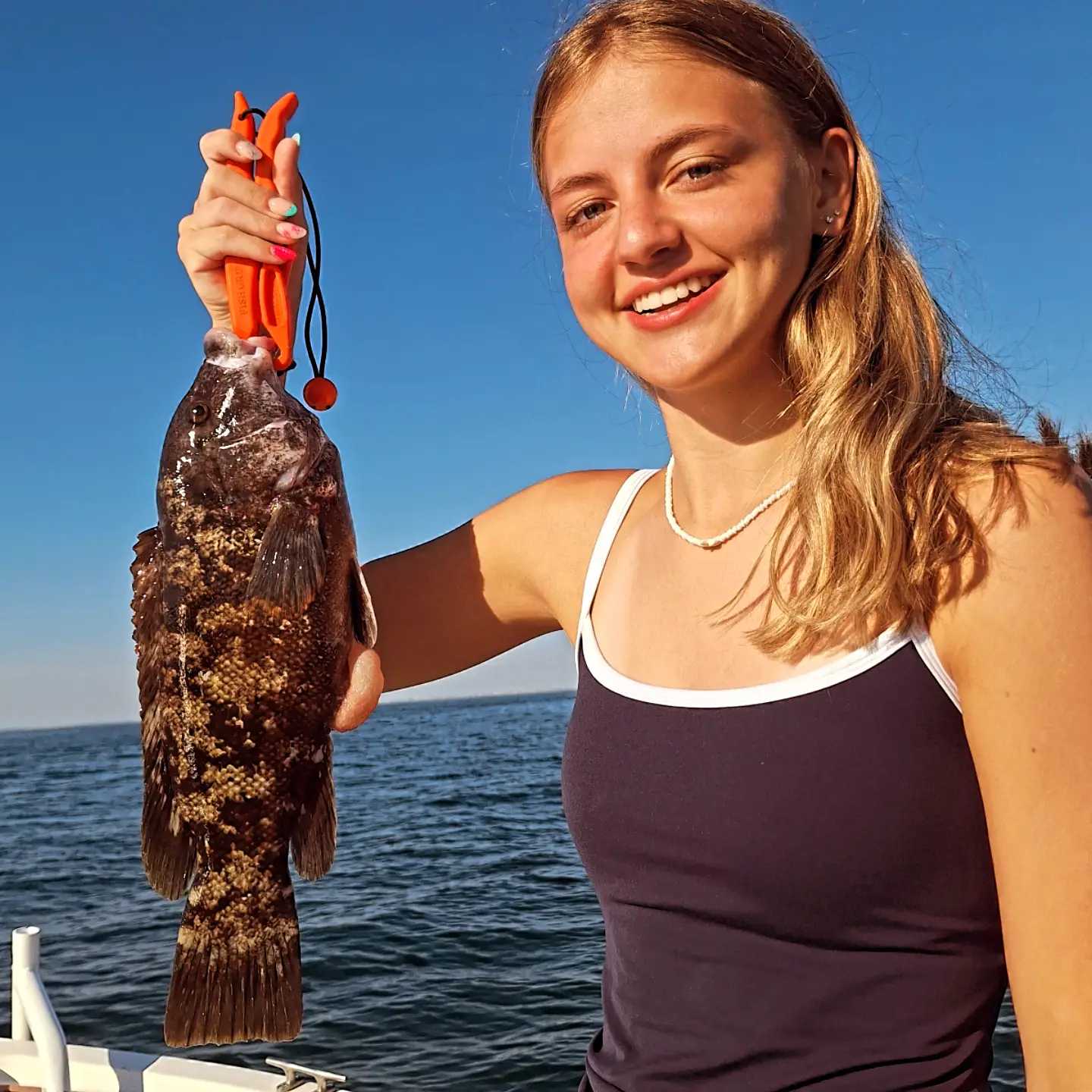 Nice Wanchese NC tautog on the boat!