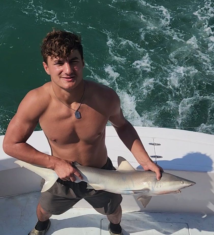 Solid blacktip shark catch