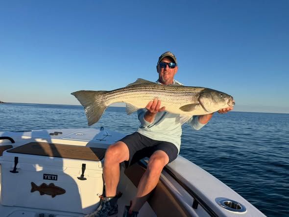 Monster linesiders and Maine tides—Wells delivered the fish of a lifetime.