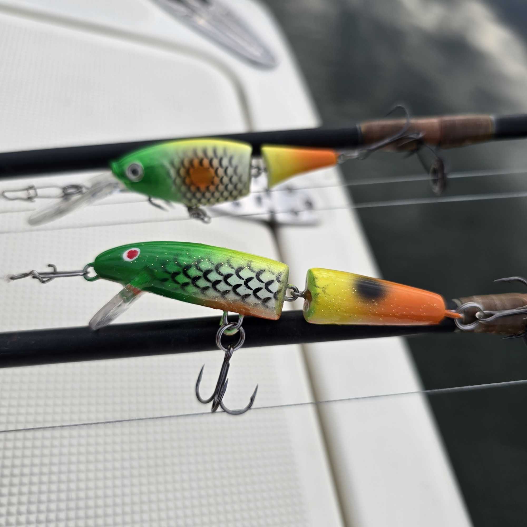 Ready to hit the water with these vibrant lures!