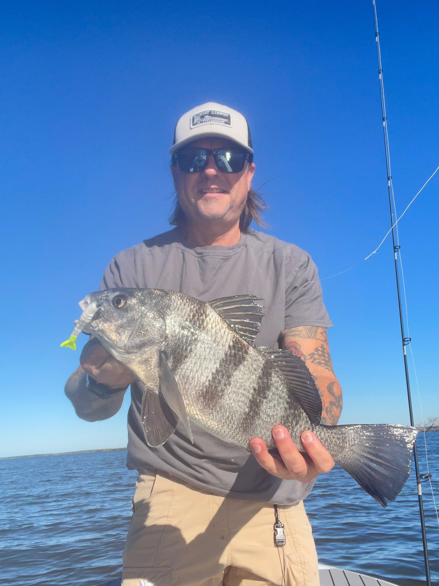 Sheepshead reeled in -Panama City, FL.