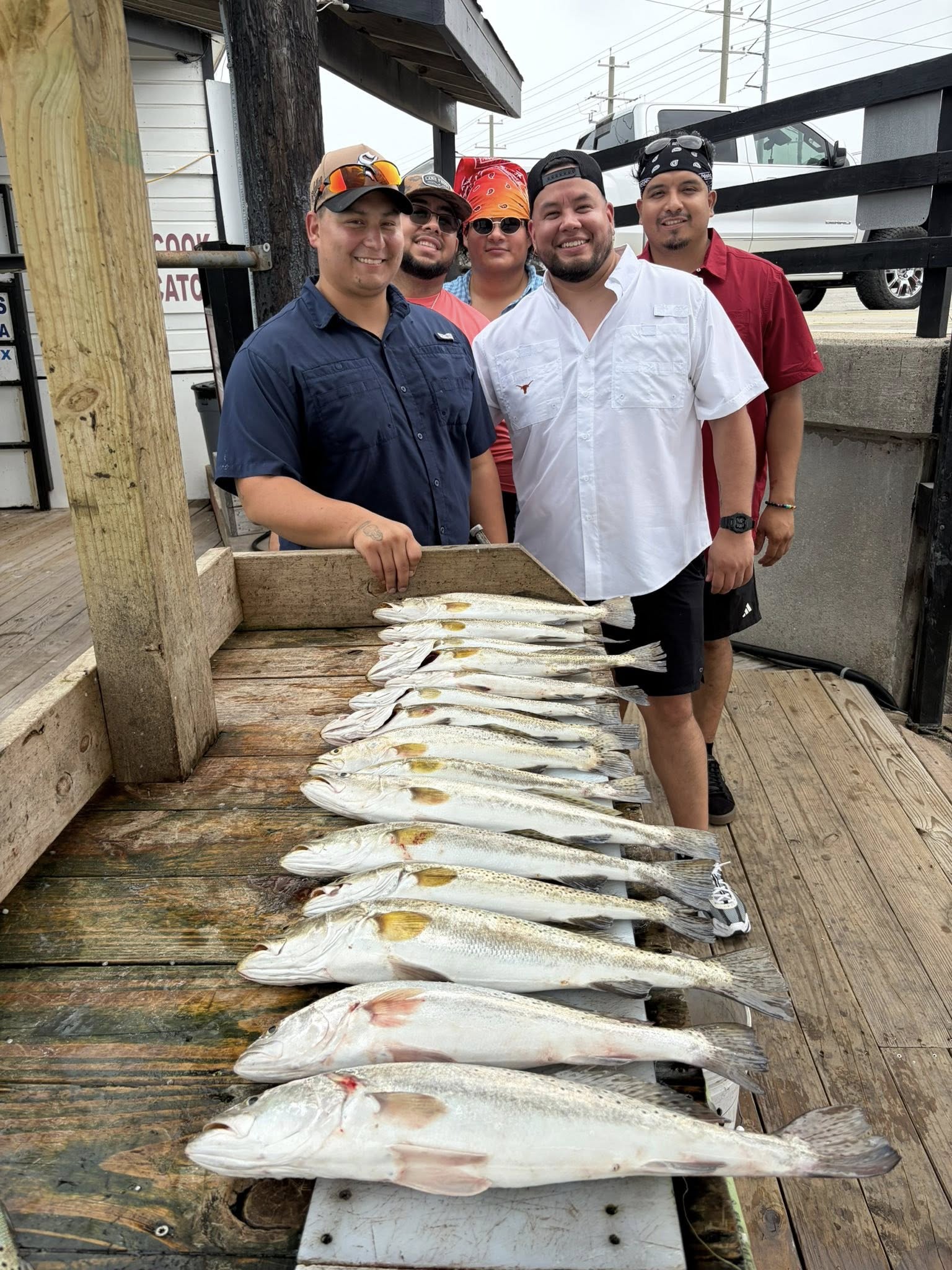 Loaded speckled trout haul