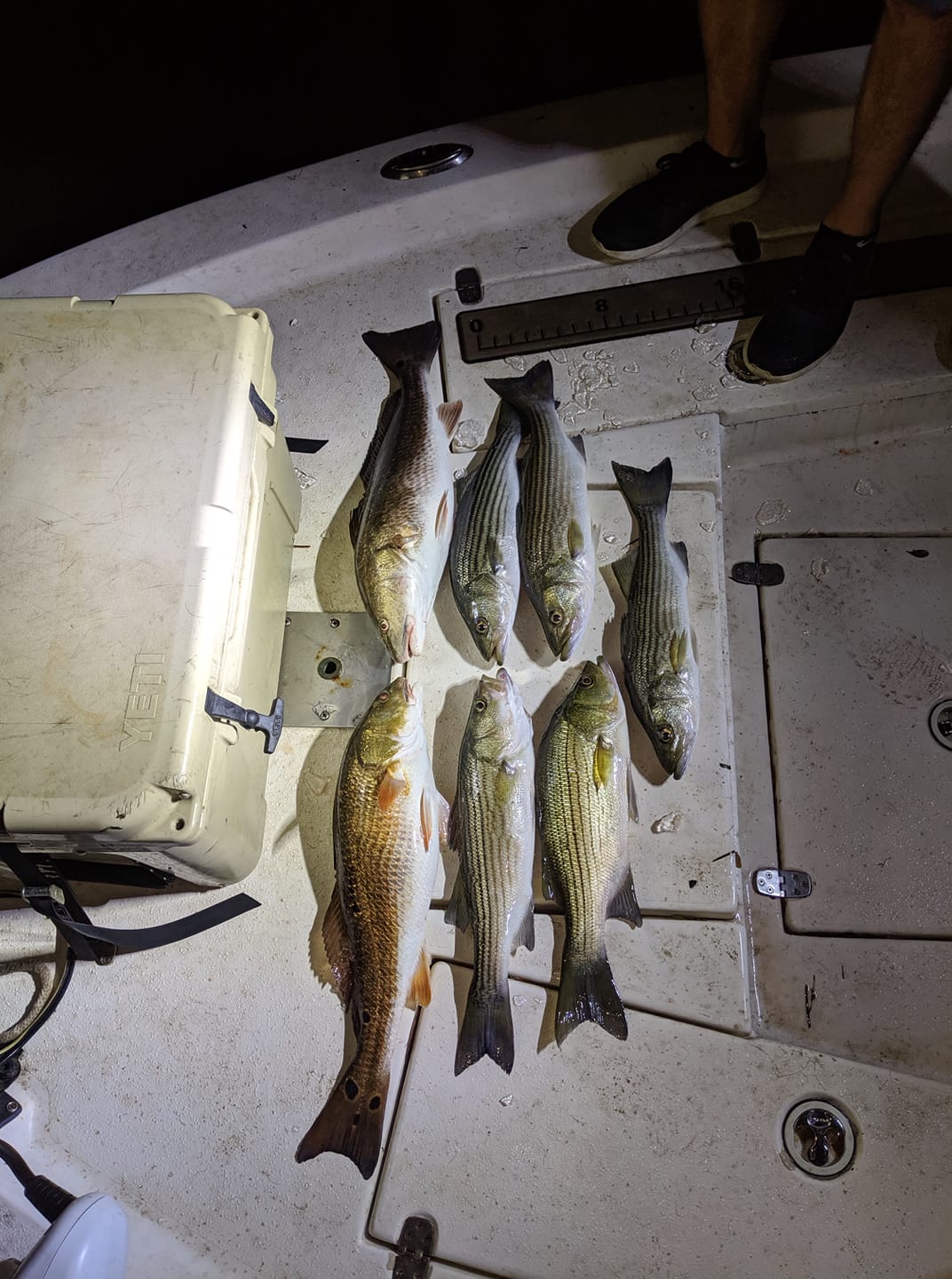 Night fishing