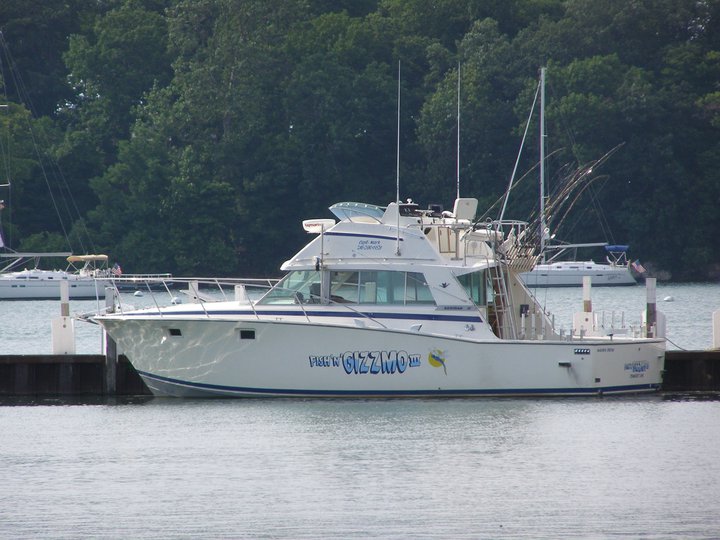Gizzmo is waiting for you in Lake Erie 