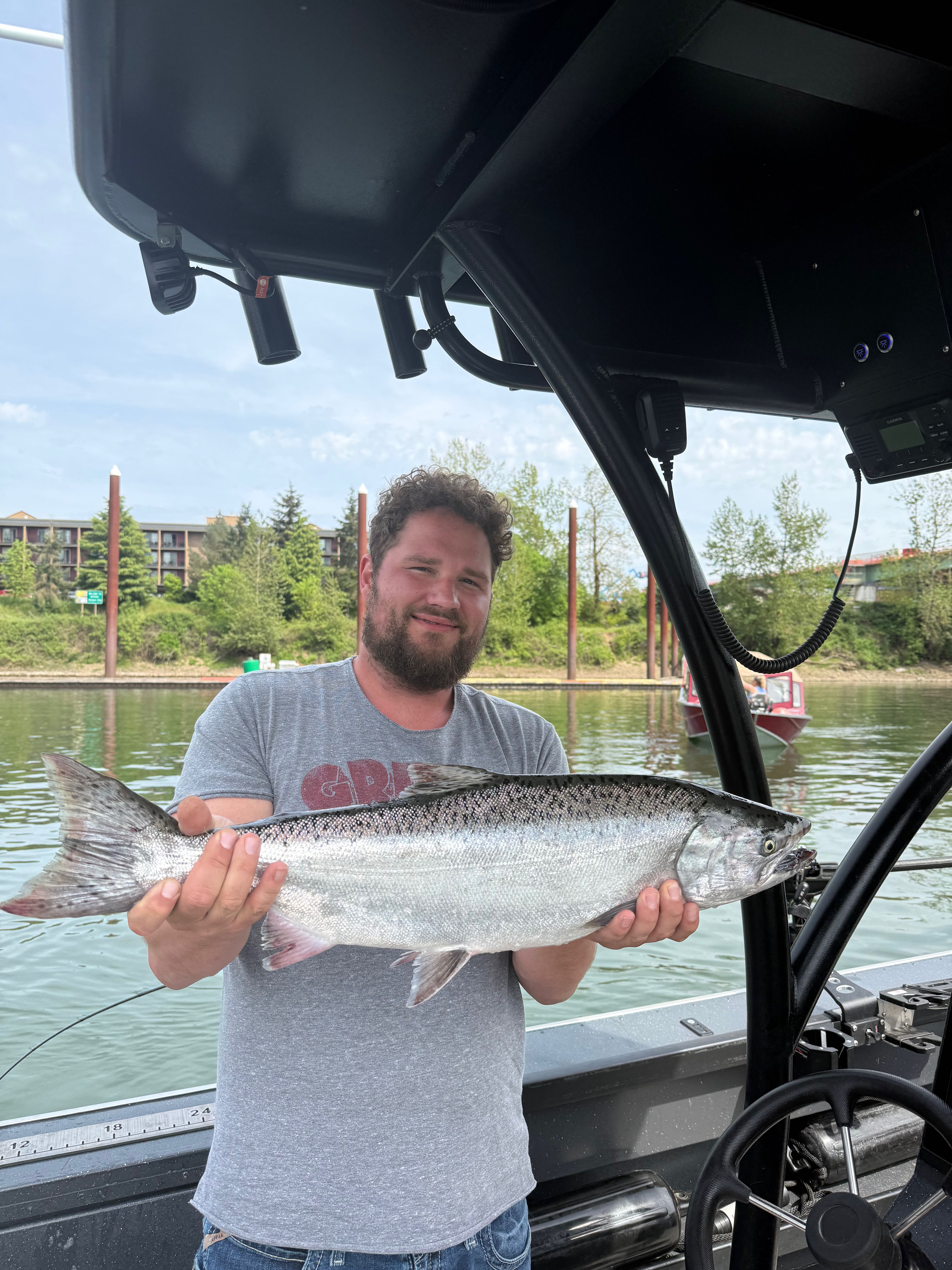Beautiful Chinook salmon from Milwaukie OR waters!