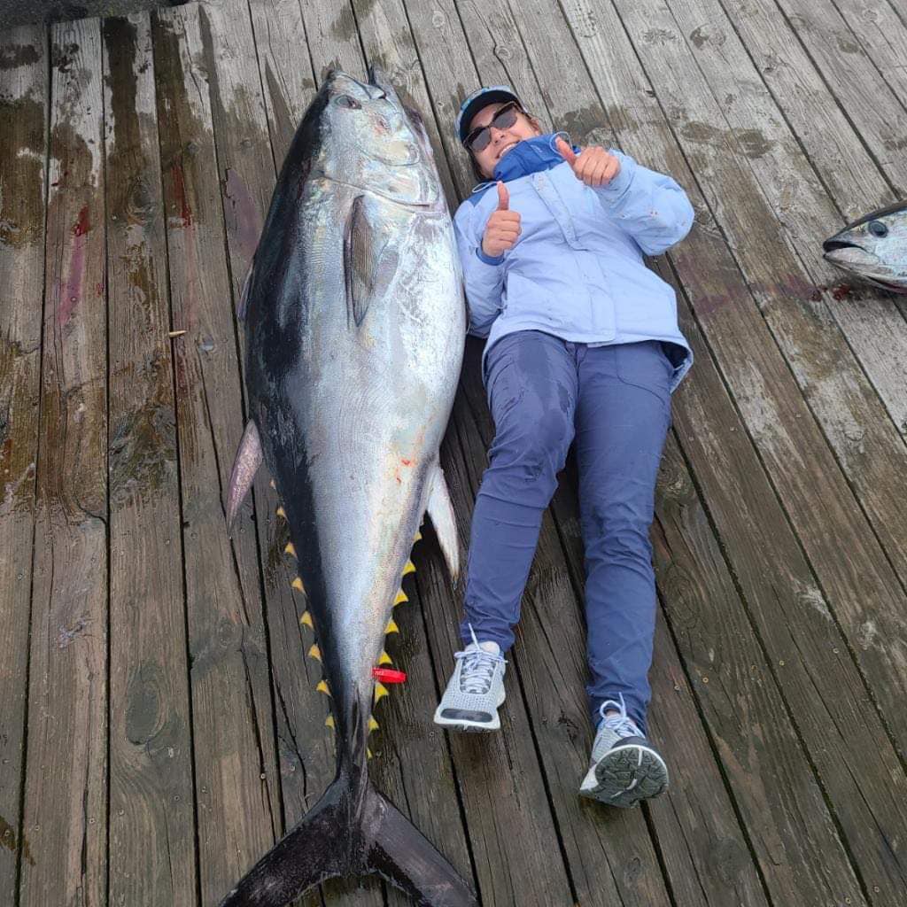 Monster bluefin tuna landed in Manteo NC waters!