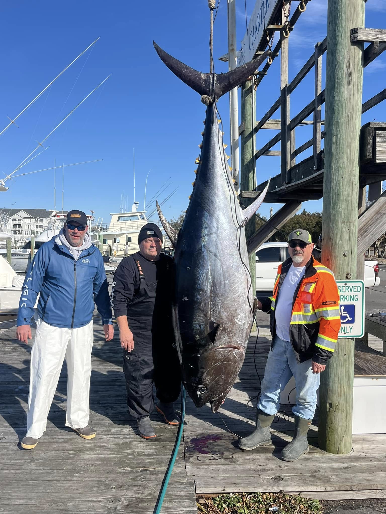 Massive bluefin tuna landed in Manteo NC waters!